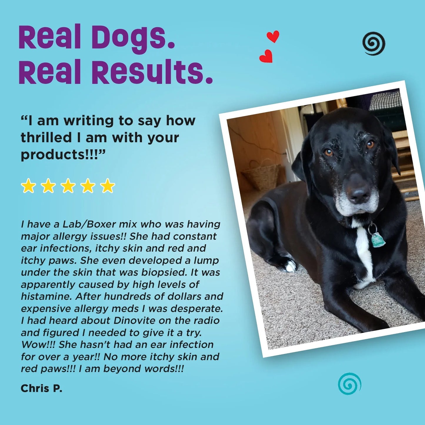 Dinovite for Large Dogs - 90 Day Supply (45-75 lbs)